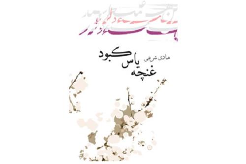 كتاب غنچه یاس كبود منتشر گردید