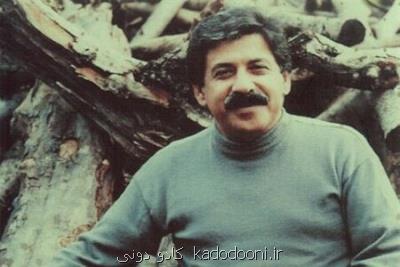 آیا شیون از شبکه استانی شنیده می شود؟!