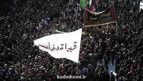 خانمهایی که مهریه هایشان را بخشیدند تا پیکر شهدای کربلا را دفن کنند