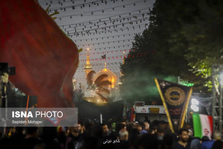 وصیت امام رضا(ع) برای کسب عزت زبانت را حفظ کن