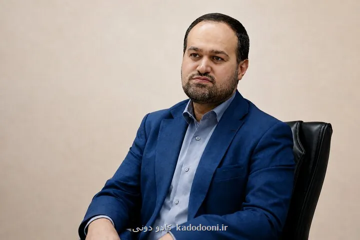 تولیدات مشترک منطقه ای، می تواند قدرت فرهنگی ایران را افزایش دهد